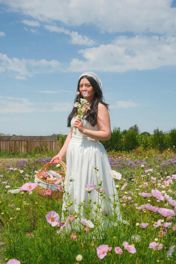 flower, petal, headgear, pink, meadow, spring