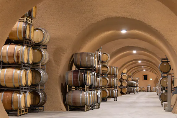 barrel, winery, wine cellar, keg