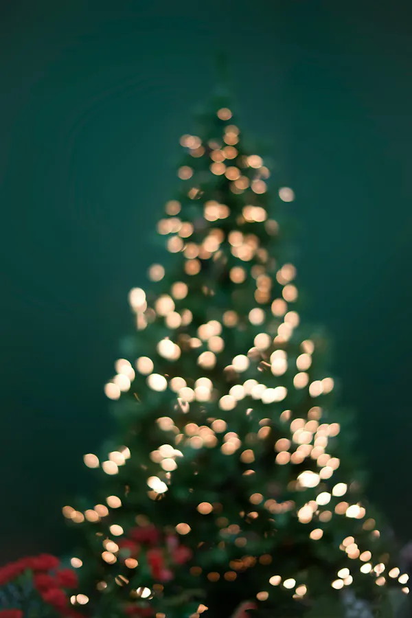green, branch, christmas tree, christmas decoration, event, christmas day