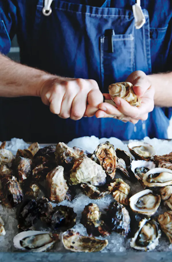 food, ingredient, natural material, bivalve, recipe, oyster