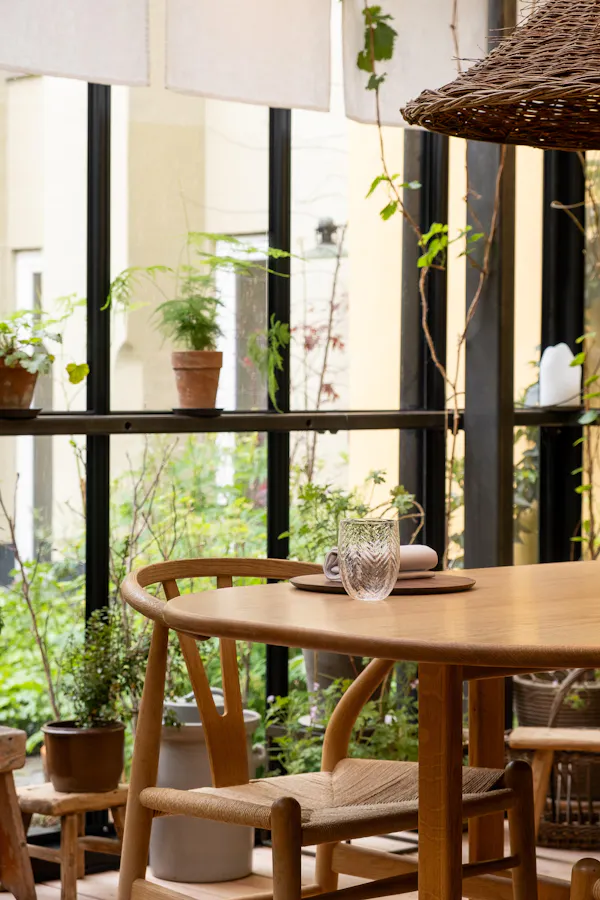 furniture, wood, flowerpot, chair, houseplant, wood stain