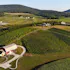 Catoctin Breeze Vineyard