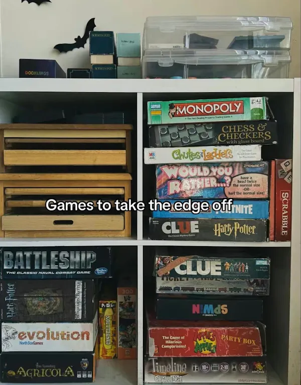 shelf, shelving, publication, book, collection, bookcase