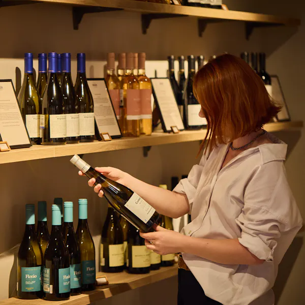 bottle, alcoholic drink, glass bottle, wine bottle, alcohol, wine