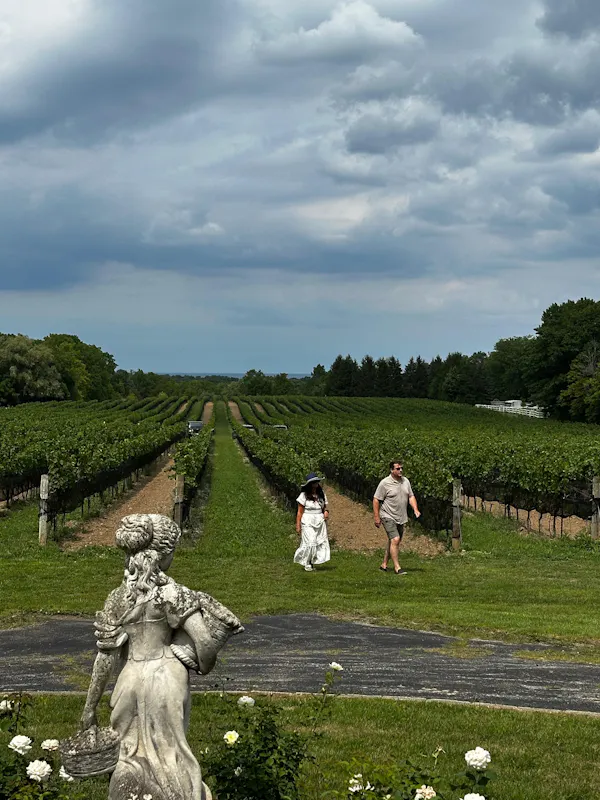 garden, spring, plantation, leisure, agriculture, field