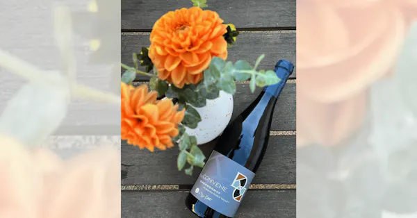 bottle, alcoholic drink, glass bottle, alcohol, wine bottle, liquor