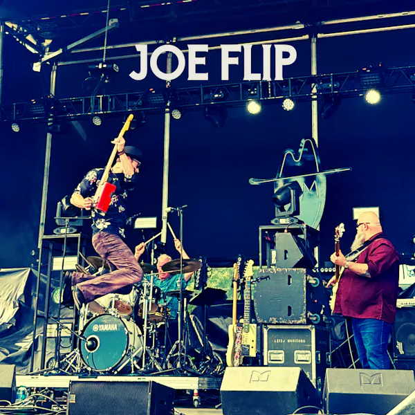 audio equipment, musical instrument, music, entertainment, microphone stand, performing arts