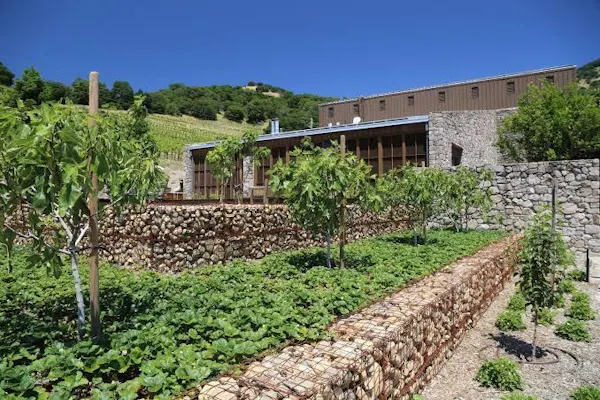 shrub, groundcover, garden, estate, landscaping, stone wall