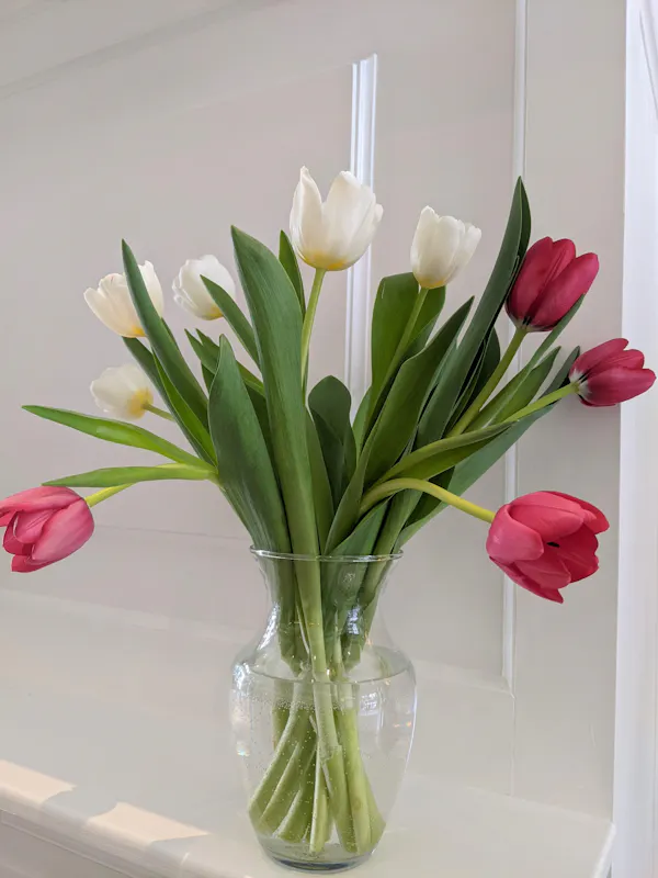 flower, petal, plants, flower bouquet, vase, floristry