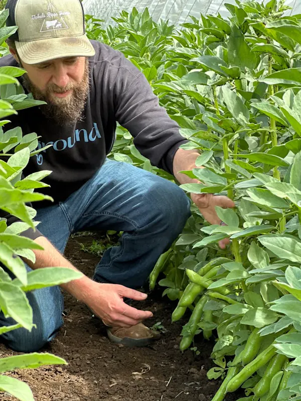 farmworker, agriculture, plantation, soil, agriculturist, crop