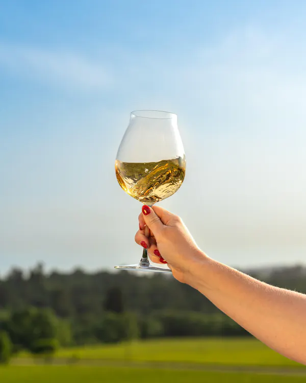 stemware, tableware, drinkware, alcoholic drink, wine glass, dessert wine