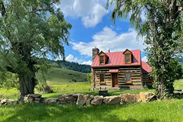 grass, plants, house, cottage, landscape, grassland