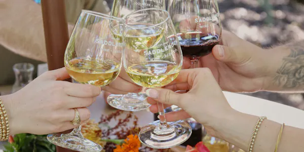 tableware, stemware, drinkware, wine, wine glass, barware