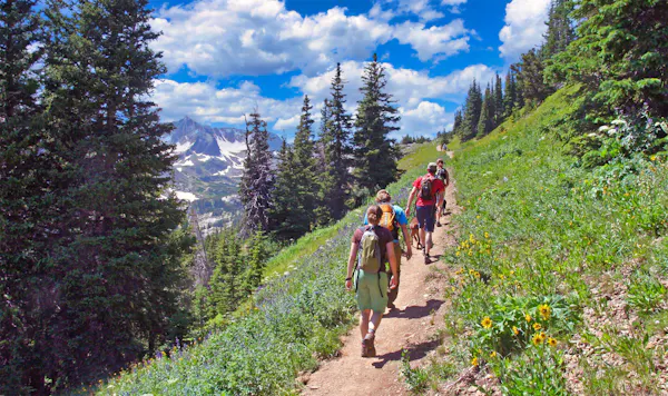 adventure, mountainous landforms, mountain, plants, hiking, wilderness