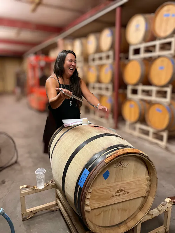 barrel, winery, brewery, wine cellar, wood stain, keg