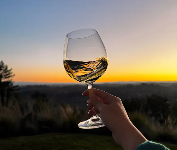 stemware, tableware, drinkware, wine glass, champagne glass, dessert wine