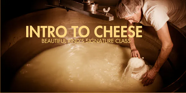 ingredient, food, cheese, recipe, dairy product