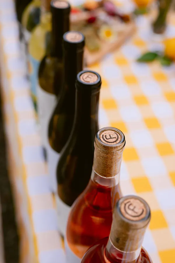 bottle, alcoholic drink, glass bottle, wine bottle, liquid, drinkware