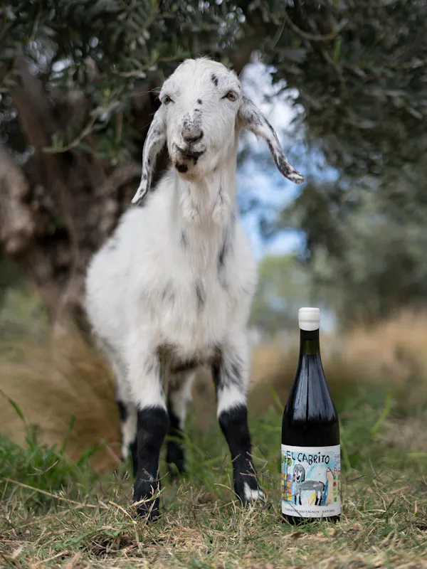 bottle, goats, goat, liquid, glass bottle, alcoholic drink