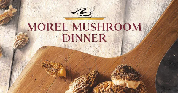 ingredient, food, recipe, cooking, culinary arts, dishware