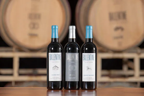 bottle, glass bottle, drink, alcoholic beverage, wine bottle, distilled beverage