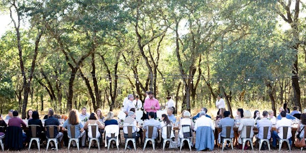 photograph, event, community, ceremony, tree, table