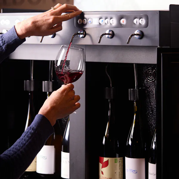 bottle, alcoholic drink, kitchen appliance, wine bottle, glass bottle, wine