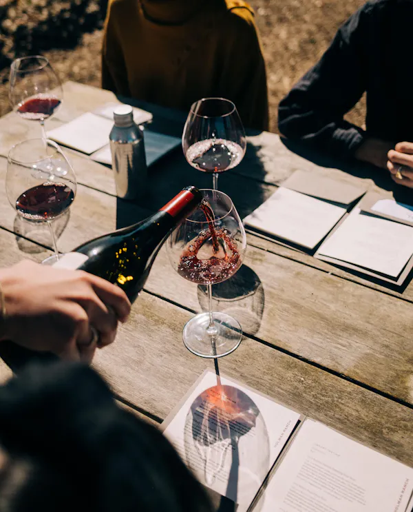 tableware, drinkware, table, stemware, wine glass, wine