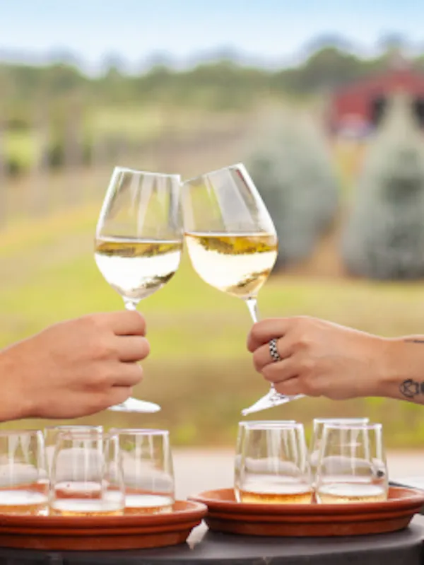 tableware, drinkware, stemware, sky, wine glass, liquid