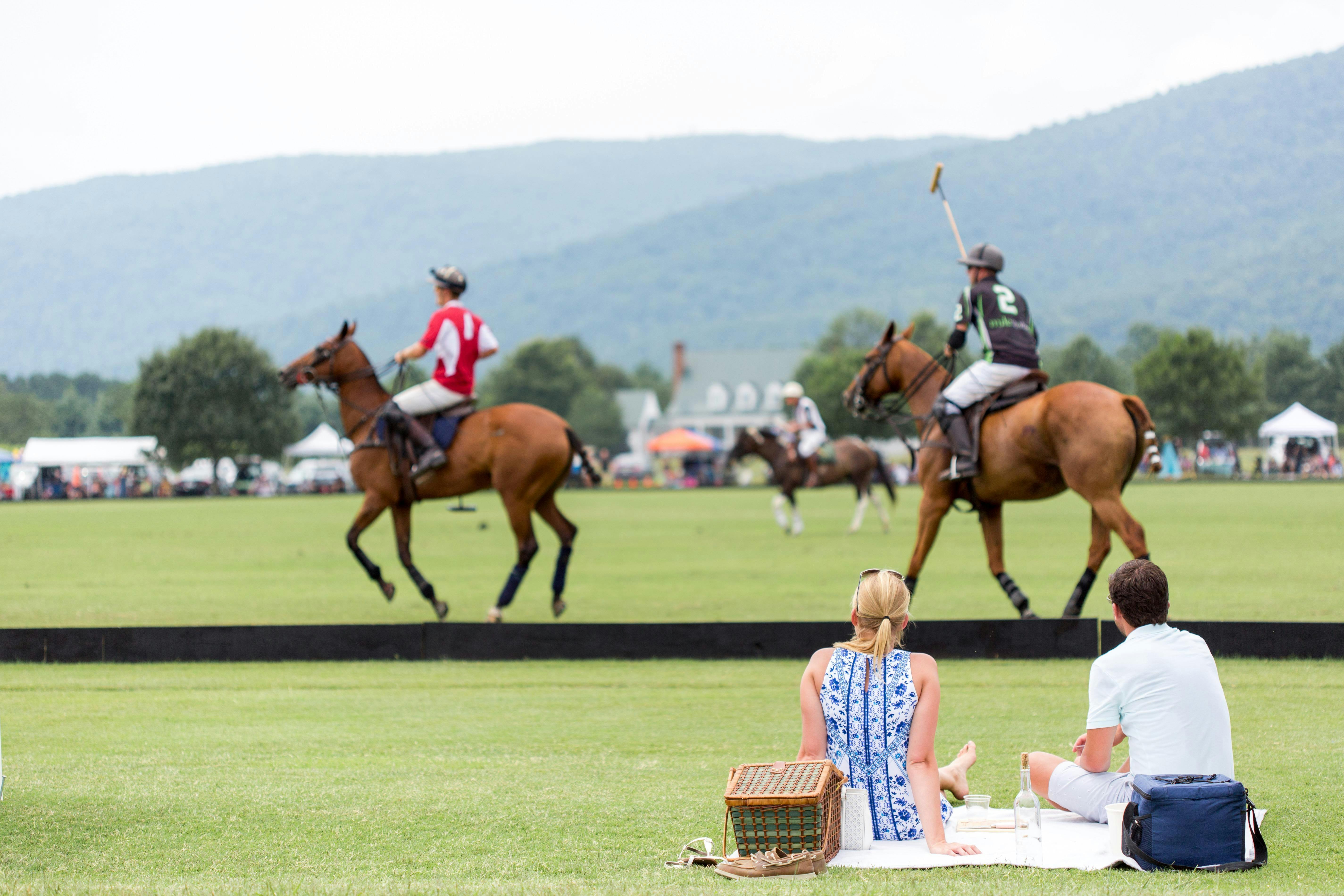 Polo at King Family Vineyards