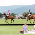 Polo at King Family Vineyards