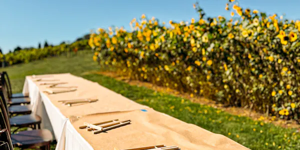 yellow, field, agriculture, plantation, garden, meadow