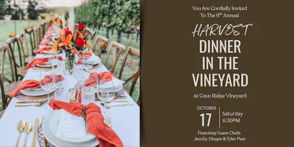 tableware, drinkware, table, barware, serveware, dishware