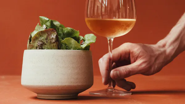 stemware, tableware, drinkware, alcoholic drink, wine glass, barware