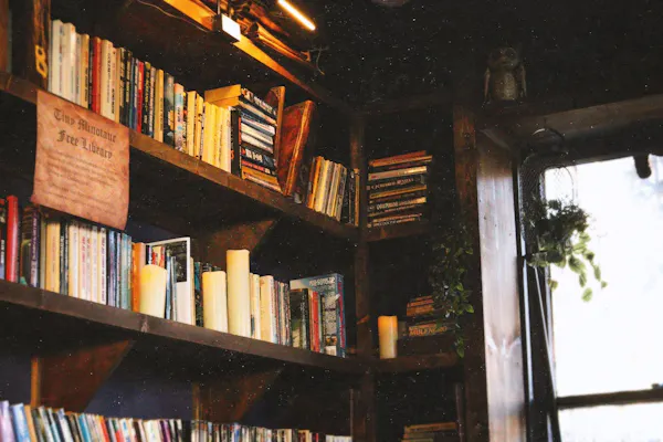 shelf, shelving, wood, bookcase, book, furniture