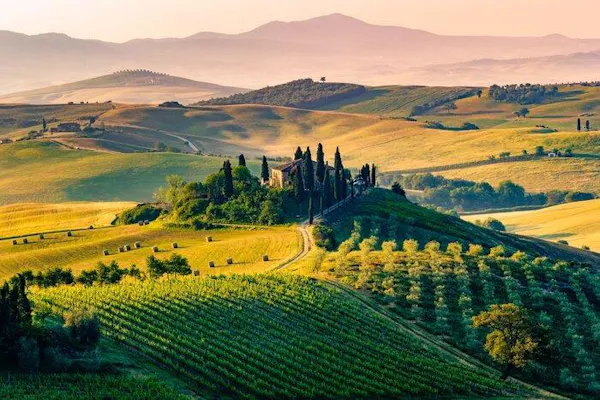 natural landscape, hill, field, rural area, agriculture, plantation