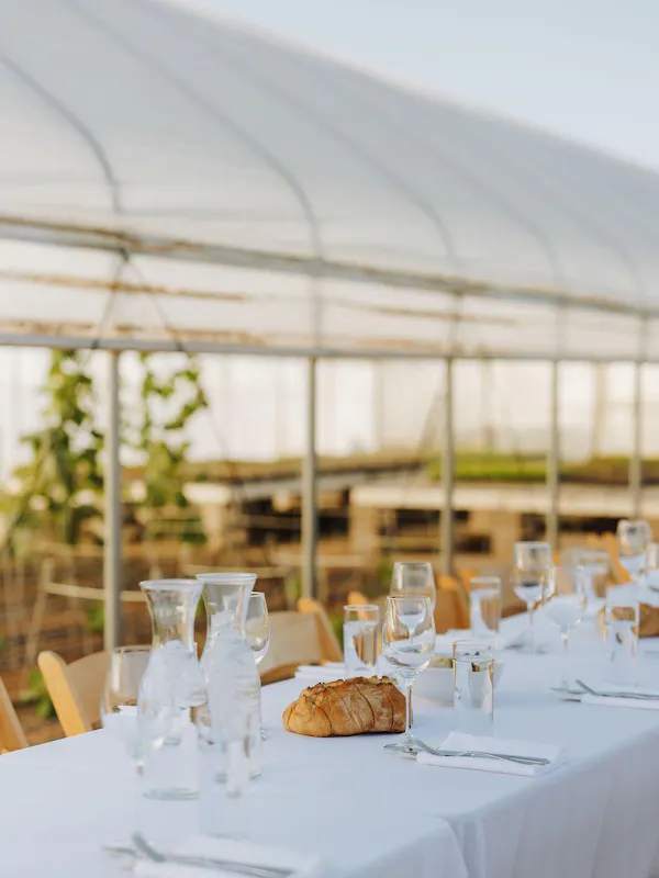 restaurant, shade, chair, agriculture