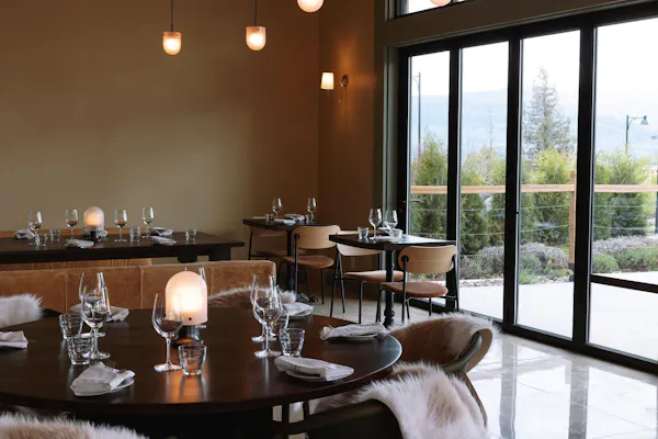 table, furniture, property, plant, lighting, tableware