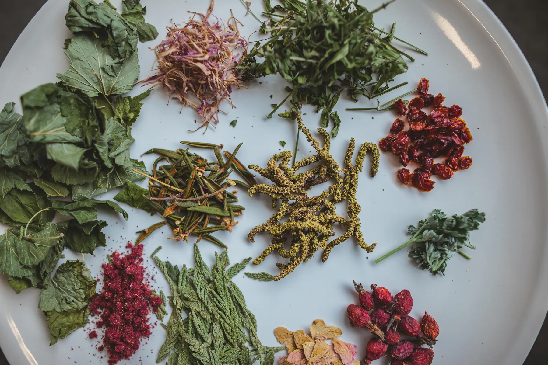 RGE RD - Edmonton, AB | Tock