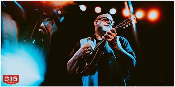 musical instrument, string instrument, chordophone, performing arts, guitar, entertainment