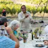 LXV Wine