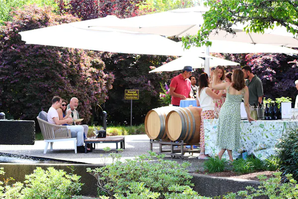 umbrella, leisure, public space, recreation, spring, garden