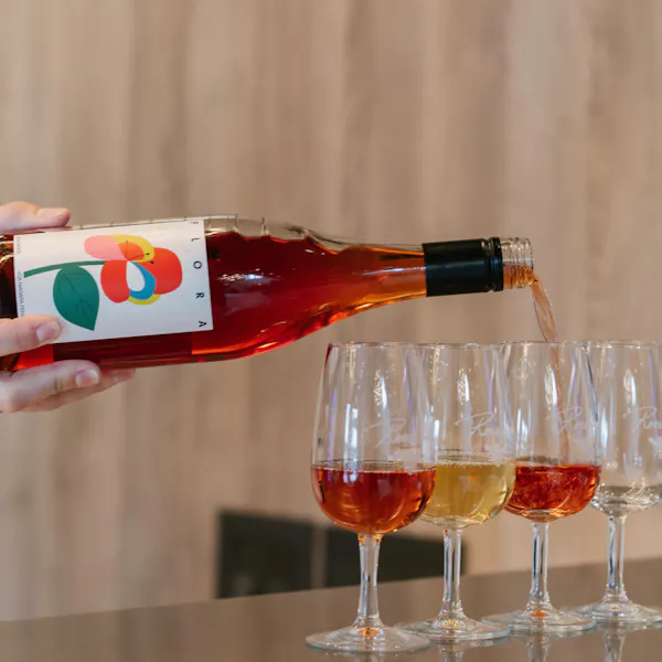 alcoholic drink, stemware, drinkware, bottle, liquid, alcohol