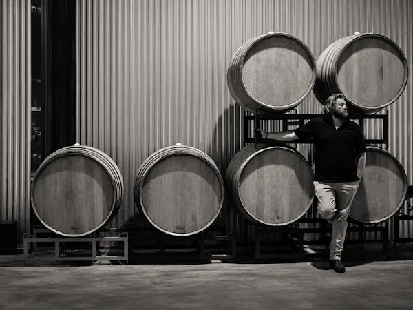 barrel, winery, wine cellar, brewery, mass production