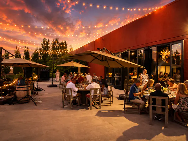 furniture, chair, outdoor furniture, restaurant, outdoor table, customer