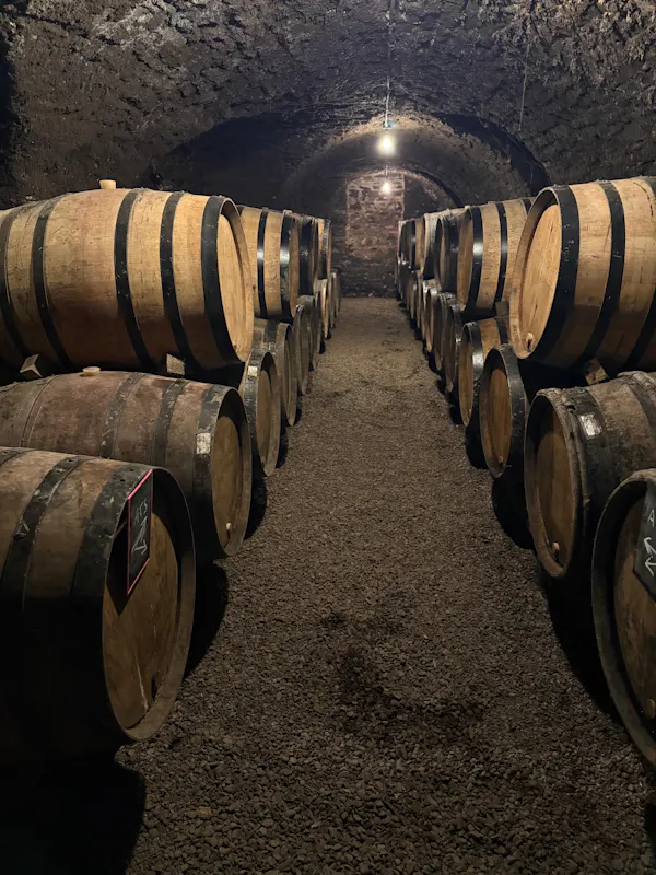barrel, winery, wine cellar, cylinder, inventory, keg