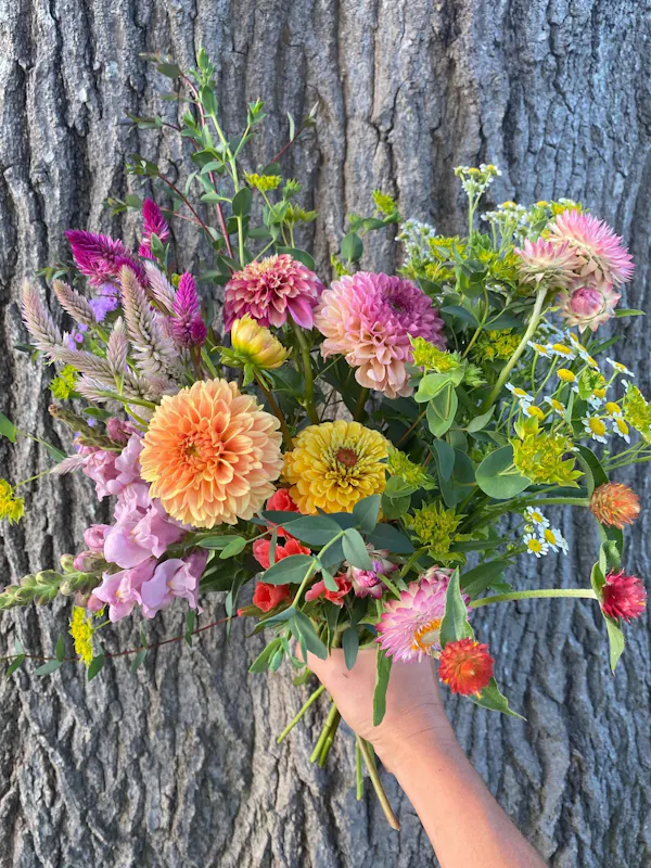flower, petal, yellow, flower bouquet, floristry, pink