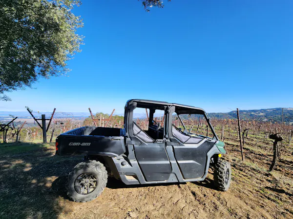 tire, wheel, sky, plant, vehicle, hood