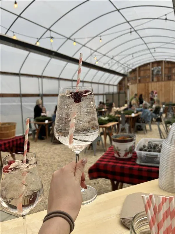 tableware, food, serveware, barware, brunch