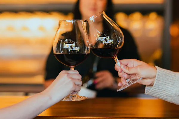 stemware, tableware, drinkware, wine glass, alcoholic drink, barware